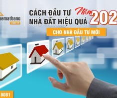 Cách đầu tư nhà đất hiệu quả năm 2024 dành cho nhà đầu tư mới