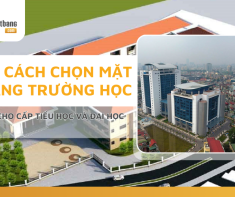 Cách chọn mặt bằng trường học cho cấp Tiểu học và Đại Học