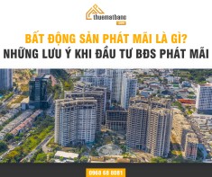 Bất động sản phát mãi là gì? Những lưu ý khi đầu tư bất động sản phát mãi
