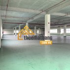 product/khoxuong/lo_i-b1-3-_duong_n6-_khu_cong_nghe_cao-_q9/z4713700025031_a0633bd7acb258410ef5fc09658e2fc8.jpg