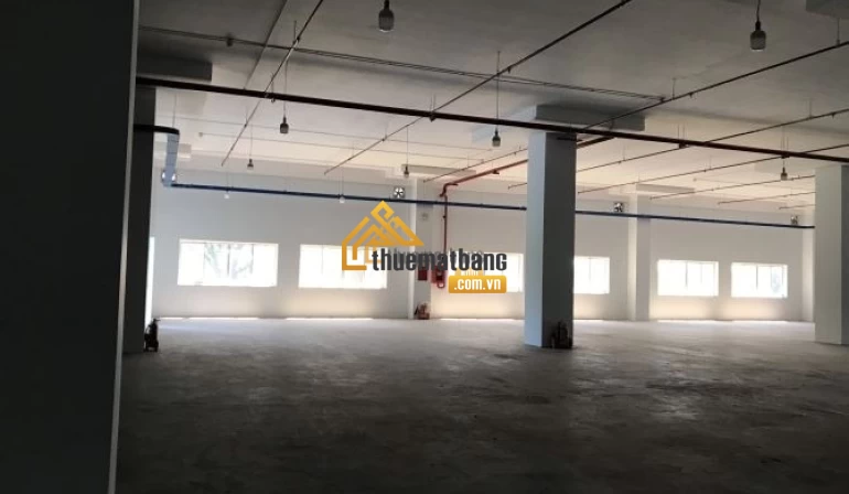 product/khoxuong/tp-ho-chi-minh/thu-duc/cho-thue-nha-xuong-2300m2-khu-che-xuat-linh-trung-1-linh-trung-thu-duc-1.webp