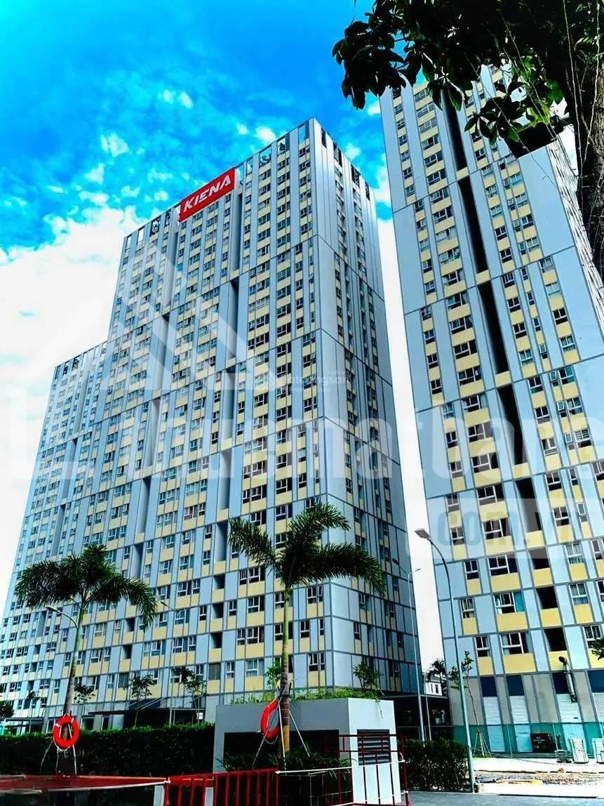 product/matbang/tp-ho-chi-minh/quan2/phat/shophouse_158_938448086_60m2_8tr/snapedit_1703431487996.jpg